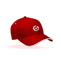 Topi